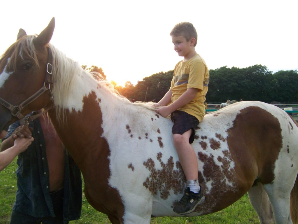 Horse riding lessons near me