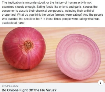 onions are a powerful plants