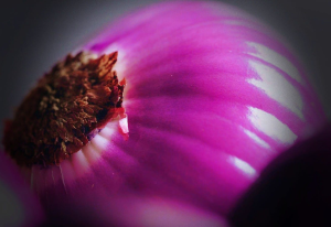 onions and health benefits